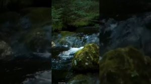 Премьера2026"Река"