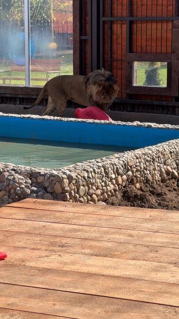 Утренняя активность