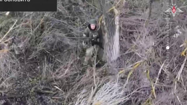 Освобождение Ветеринарного