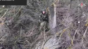 Освобождение Ветеринарного