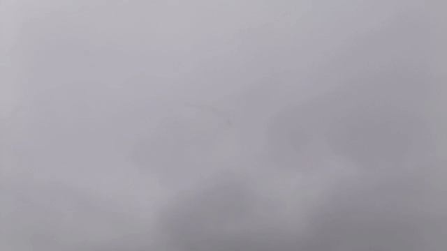 ПЕРЕЛЕТ ПТИЦ СНЯТЫЙ НА КАМЕРУ МИХАЛЫЧА