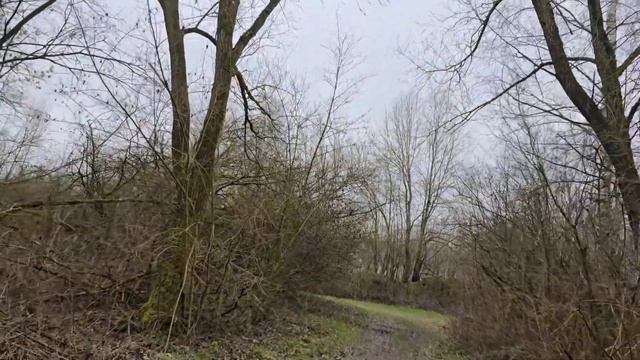 23 марта мы пробуем себя после зимы...Реабилитация на лицо!