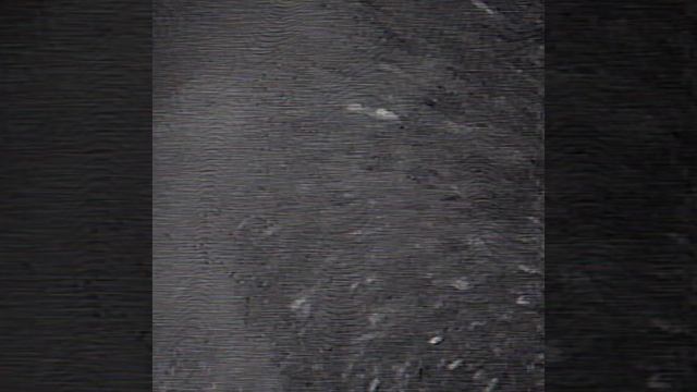 бактерия из бэкрумс в реальной жизни