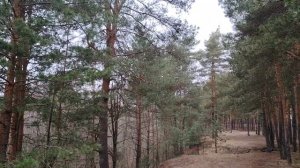 Наше планирование. Потребности