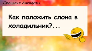 Как положить слона в холодильник? Анекдоты смешные до слез! Подборка Анекдотов! Юмор! Смех! Позитив!