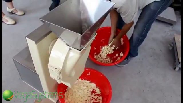 Машина для нарезки чеснока слайсом Вега/Vega Garlic Slicer H200