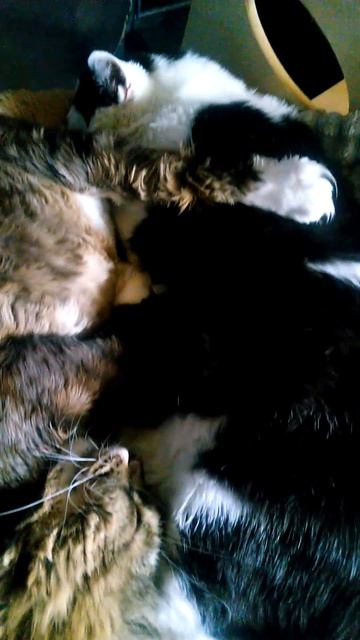 Обнял ногой