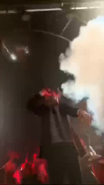 ПОШЛАЯ МОЛЛИ))