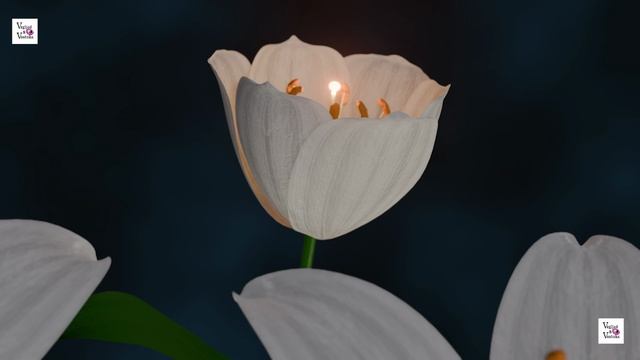 Лилии: 3D‑анимация цветочного великолепия анимация,красивая анимация,все мультфильмы