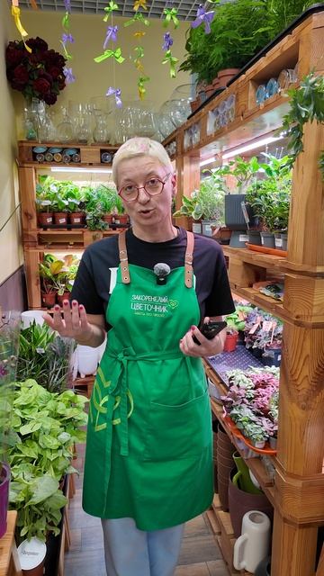 Как повлиять на вариегатность вариегатность. Алоказии.