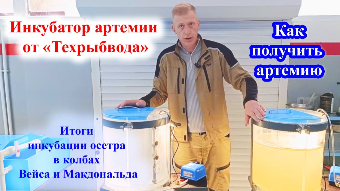 Итоги инкубации в колбах Вейса и Макдональда. Инкубаторы артемии - Что и Как!