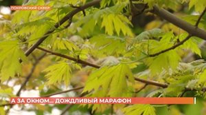 А за окном. 21 апреля 2026