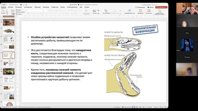 ЗМЕИ ДЛЯ ЕГЭ ПО БИОЛОГИИ