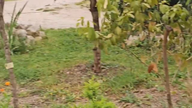 20 апреля 2026 г.