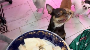 Маленький, но очень вкусный перекус.