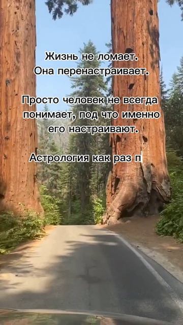 Жизнь не ломает. Жизнь перенастраивает. #7гроз #веды #нумерология #астрология #магиячисел