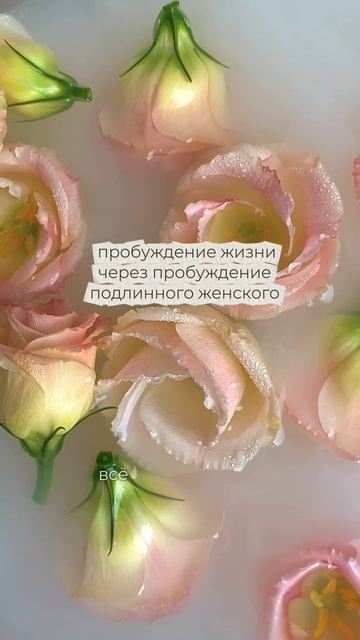 пробуждение подлинной женской природы 🦋