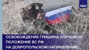 Освобождение Гришина улучшило положение ВС РФ на добропольском направлении