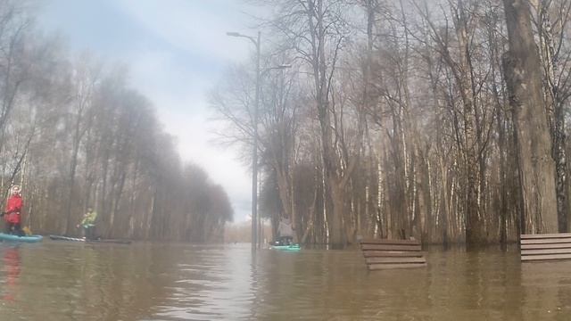 Sup прогулка в половодье