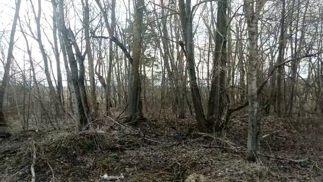 д. Холм 50:18:0070311:777