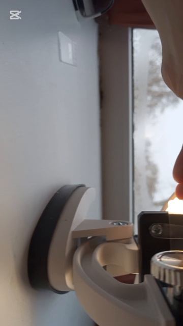 Клетки яблока, пыльцы и лука под микроскопом