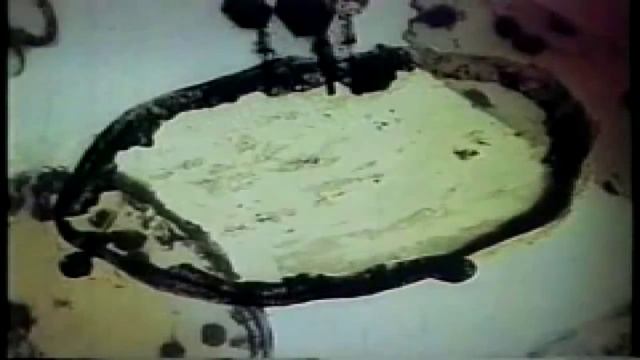 Анимация заражения бактерии вирусом Фаг Т4.