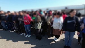 Полиция выявила более 200 нелегальных мигрантов на плодоовощной базе в Краснодар