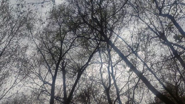 21 апреля ждите ☀️ творите добро на земле