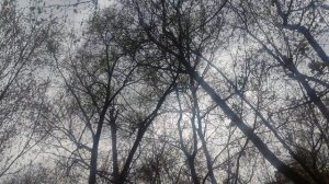 21 апреля ждите ☀️ творите добро на земле