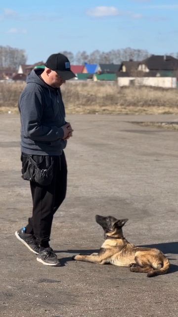 дрессировка команда фу