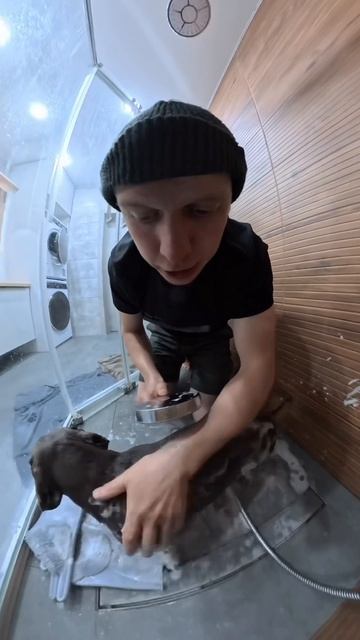 Помыл вонючку😅 Что еще снять в таком формате? Ваши варианты!😎