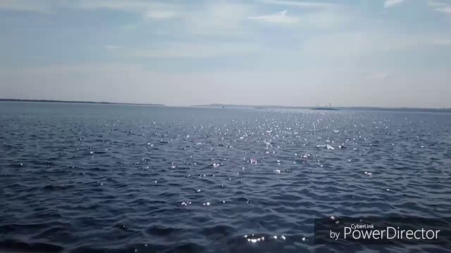 Весна. Мысли вслух