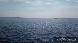 Весна. Мысли вслух