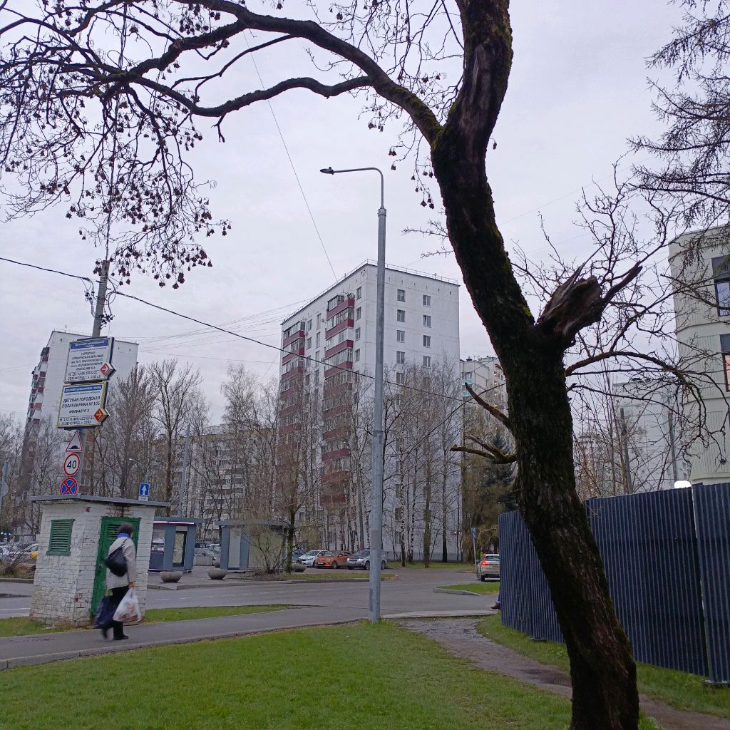 первый весенние деньки