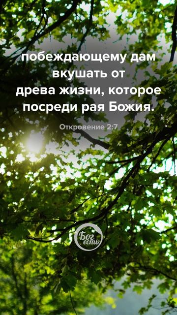 Откровение 2:7