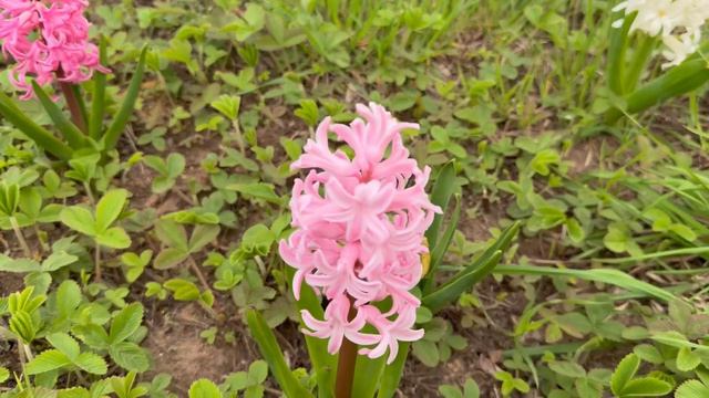 Посмотрел на сброс воды ! И подарки от Марины и Лены и Насти Сомовых