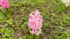 Посмотрел на сброс воды ! И подарки от Марины и Лены и Насти Сомовых