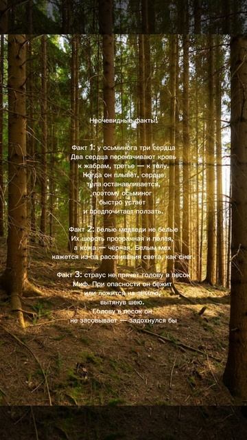 Неочевидные факты которые ты точно не знал!