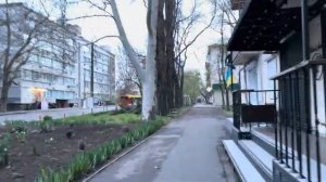 ОДЕССА 21 АПРЕЛЯ 2026. ДЕПУТАТ ОТМАЗЫВАЕТ ПОЛИЦЕЙСКИХ, БРОСИВШИХ ГРАЖДАНСКИХ ВО ВРЕМЯ ТЕРАКТА!