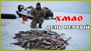 Треск лески от огромных окуней. ХМАО.