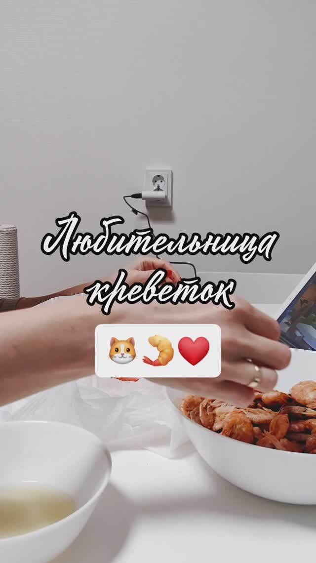 Сергей и Алиса | История двух сердец | Мисти | Любительница креветок