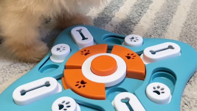 Интерактивная игрушка-головоломка для собак FOXMM