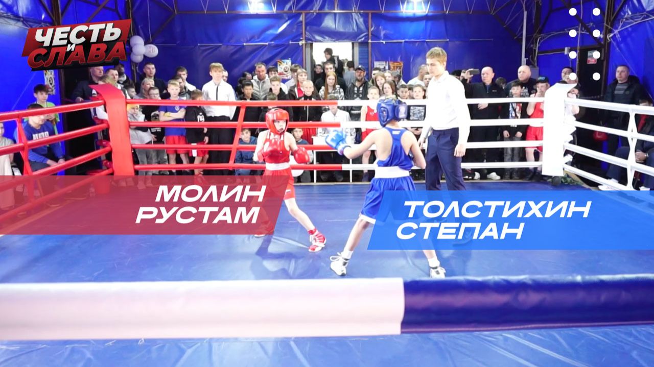 Бой12, Толстихин Степан - Молин Рустам