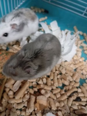 мой дневной влог