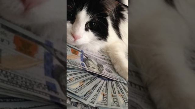 6 способов сохранить зарплату и даже увеличить её.