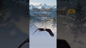 Страницы судьбы...