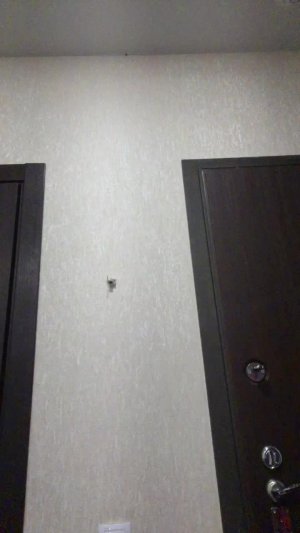 Мой вторник