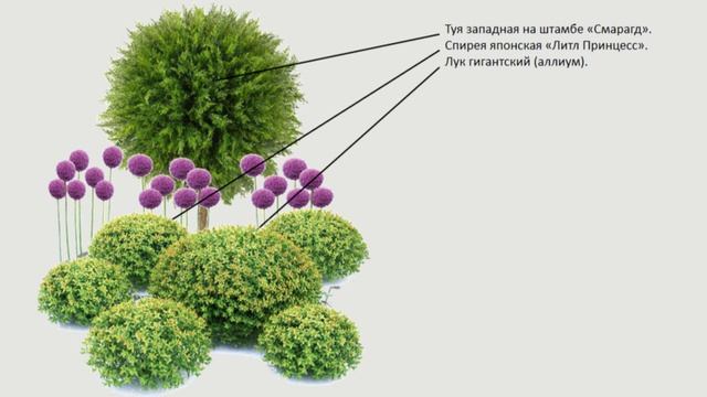 Регулярный стиль в ландшафтном дизайне