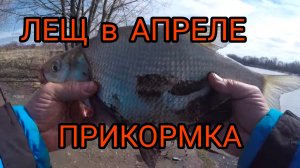 ЛЕЩ ВЕСНОЙ в Апреле.ПРИКОРМКА и НАСАДКА