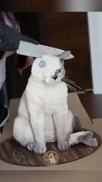 Смешные котики 💖